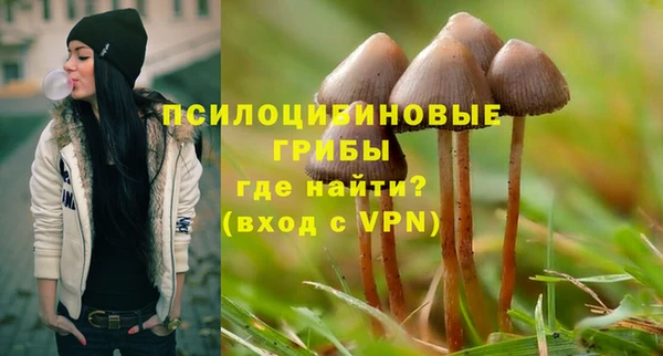 амф Абаза