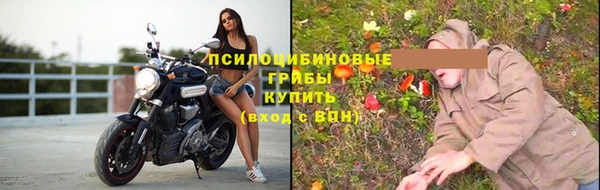 амф Абаза