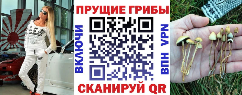Псилоцибиновые грибы MAGIC MUSHROOMS  Кингисепп 