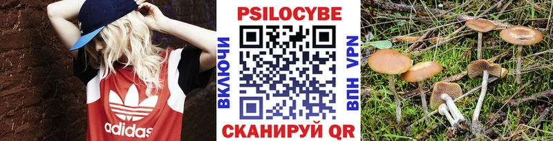 Галлюциногенные грибы мицелий Кингисепп